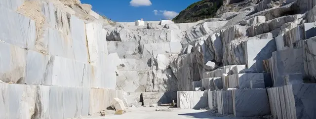 Shipping & Delivery Policy